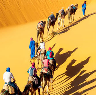 Rajasthan Tour